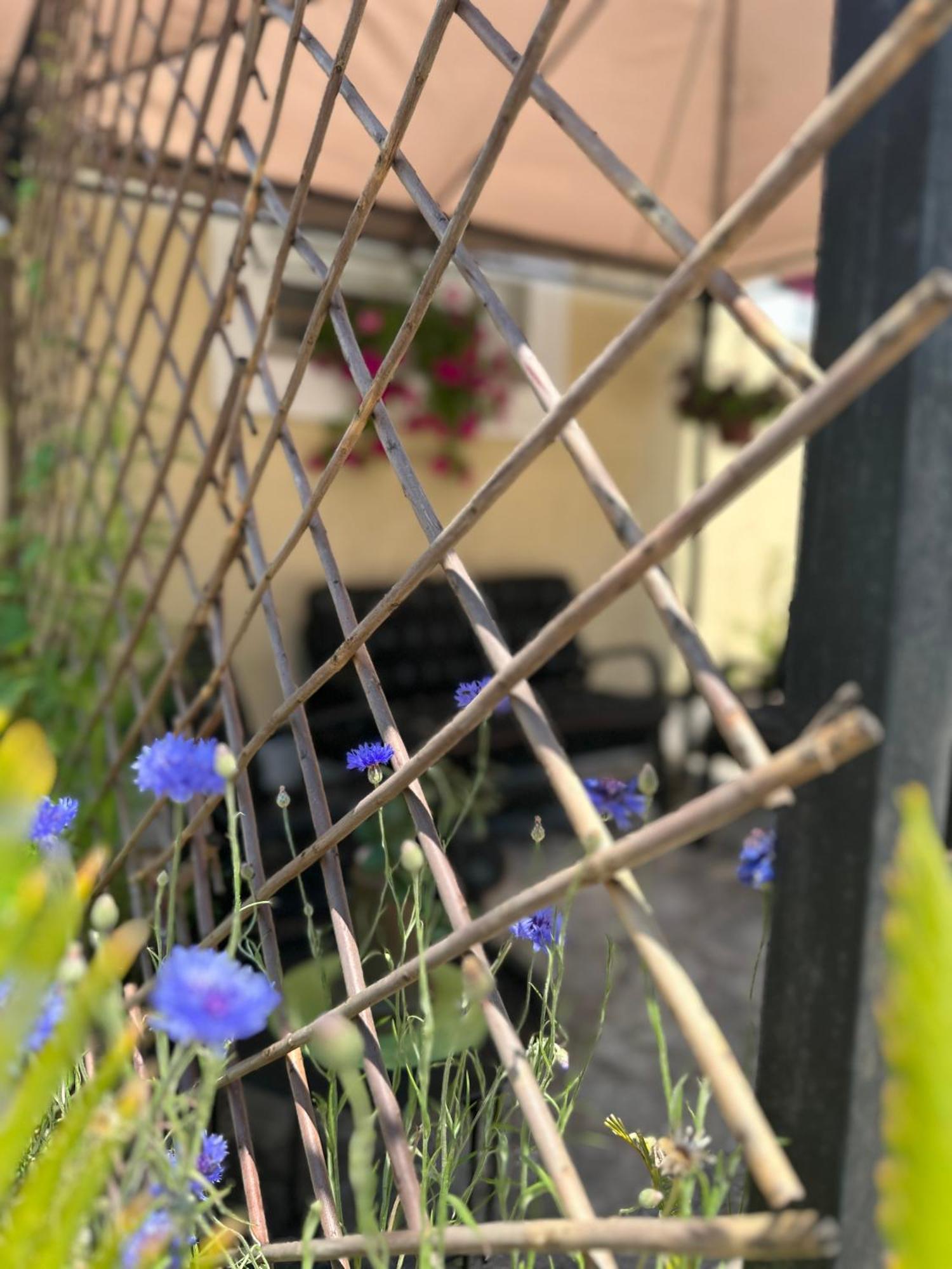 Etno Village Mihailovic Herceg Novi Kültér fotó