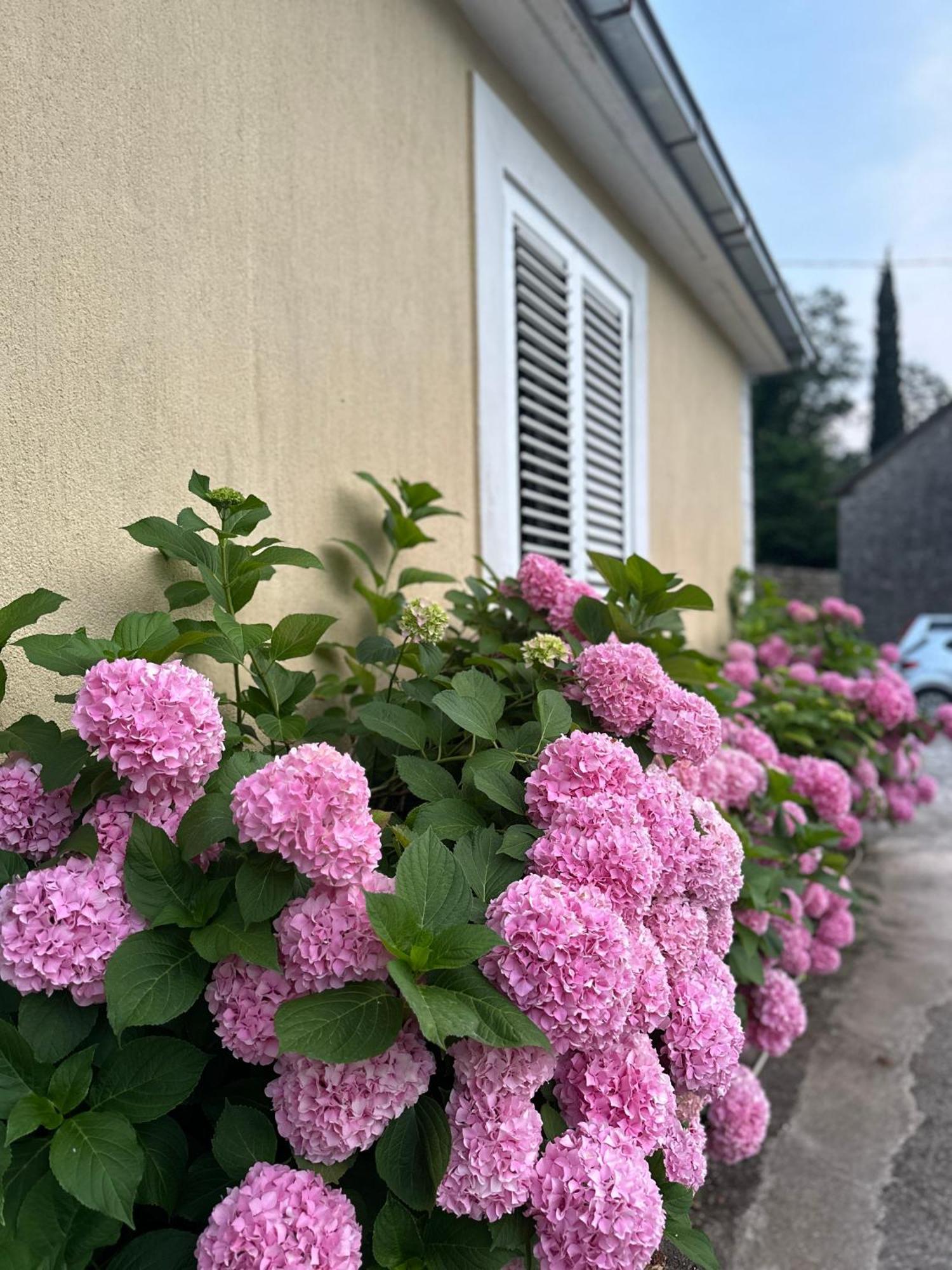Etno Village Mihailovic Herceg Novi Kültér fotó